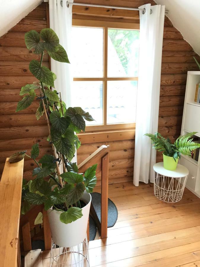 Eifel-Lounge Blockhaus Mit Kamin Garten Balkon Nahe Koeln Therme Bruehl Phantasialand Weilerswist Екстериор снимка